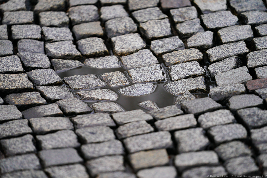 Алиханов обеспокоился брусчаткой на участке автодороги Калининград — Черняховск