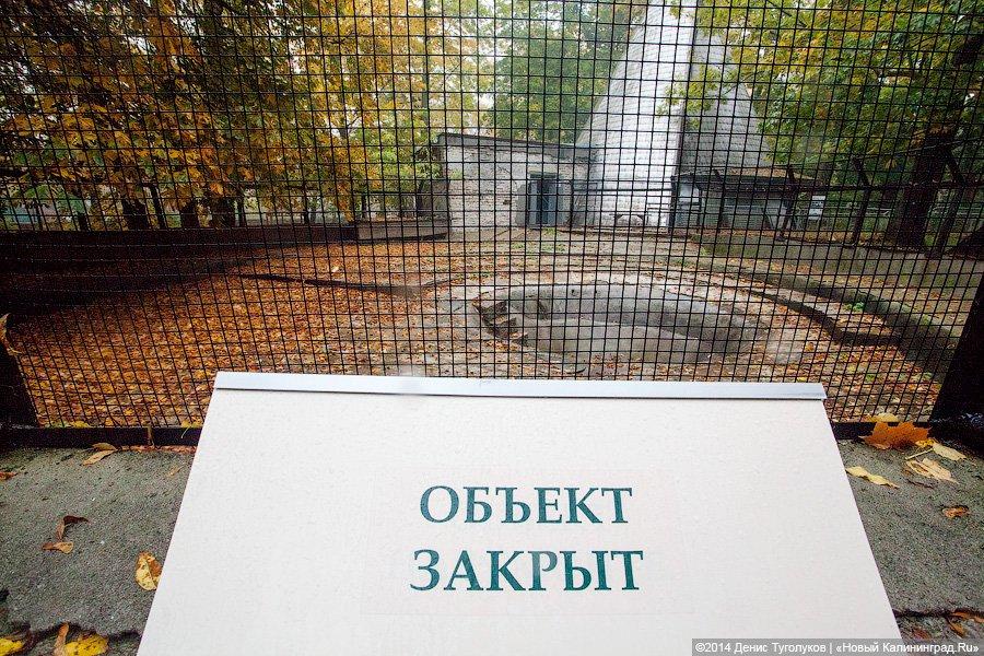 Звериные тропы: прогулка по зоопарку