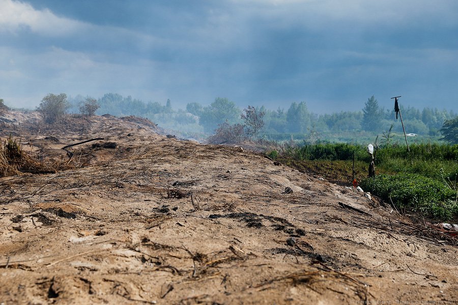 «Пламя из недр»: что происходит на горящих короотвалах в Калининграде (фото)
