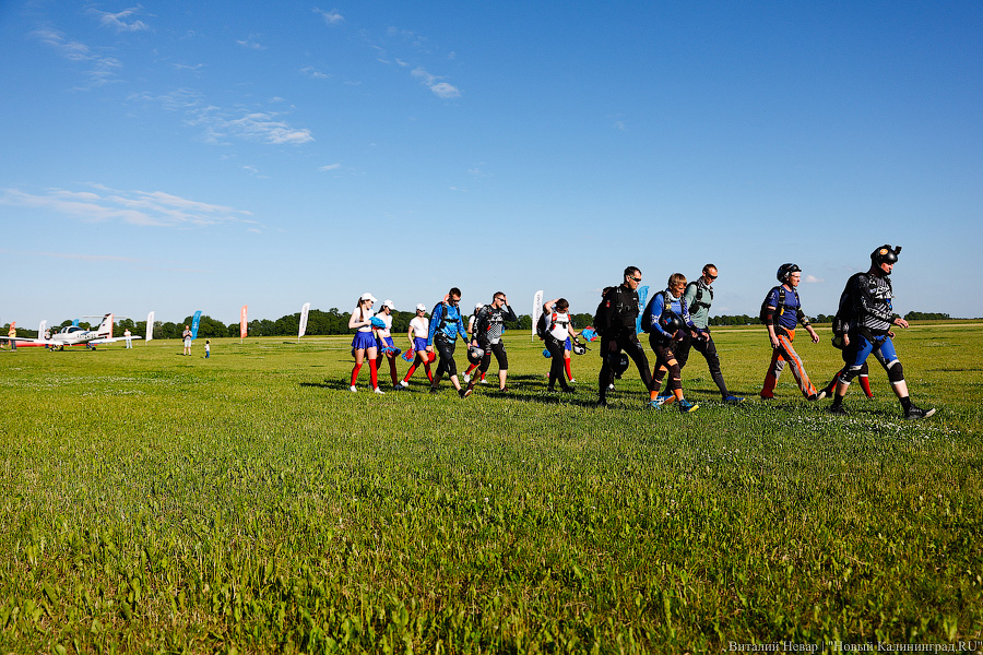 Люди как птицы: под Калининградом прошел этап Кубка России по купольному пилотированию (фото)
