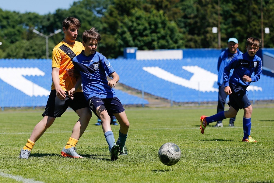 Год в свои ворота: калининградцы торжественно ждут ЧМ-2018