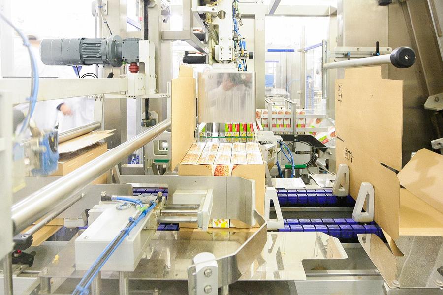 Как делают котлеты для «Макдоналдса»: вторая жизнь горевшей «Конкордии» 