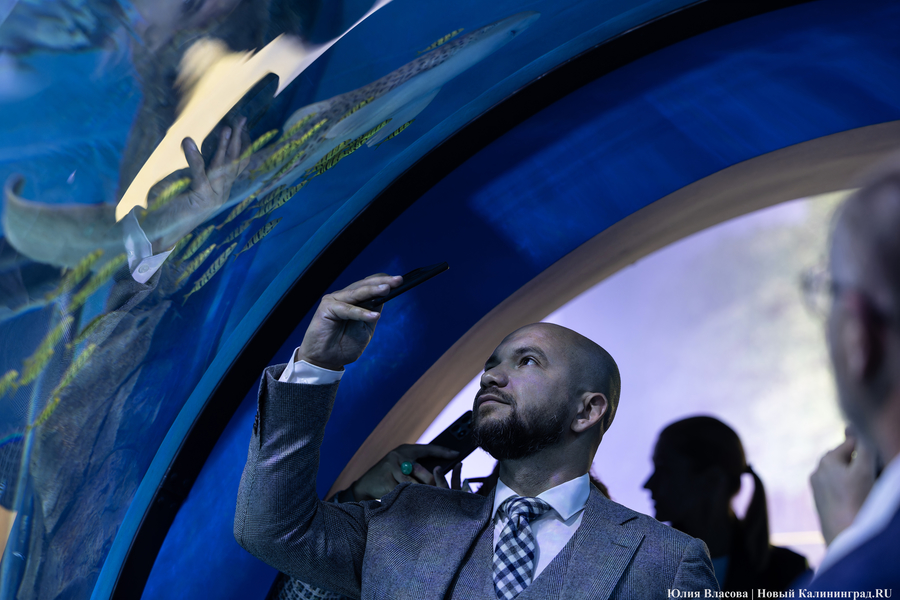 «Земля убывает»: как в Калининграде прошло официальное открытие «Планеты Океан»