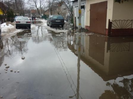 "Большая вода": фоторепортаж читателей "Нового Калининграда.Ru"