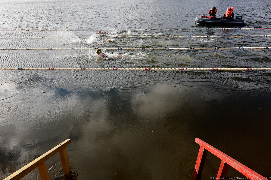 Время моржей: в  Калининграде прошли соревнования по зимнему плаванию (фото)