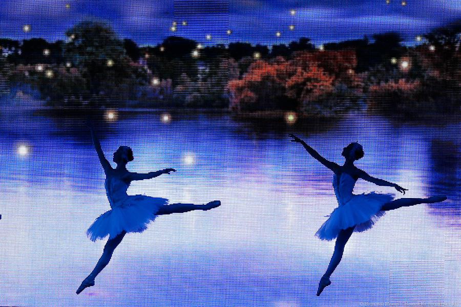 Балет и красная дорожка на набережной: как Верхнее озеро стало «Лебединым»