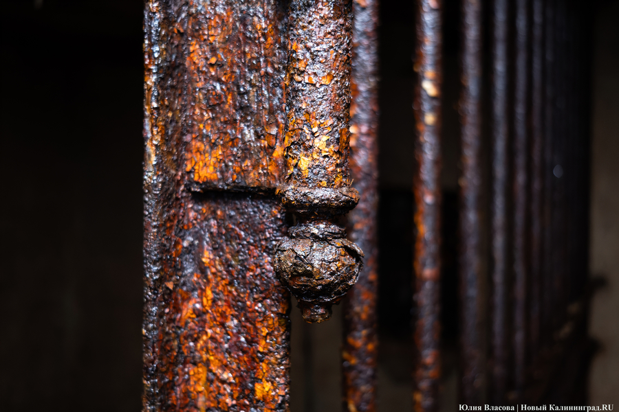 Настоящие подземелья Кёнигсберга: что находится в открывшемся провале на острове Канта (фото)