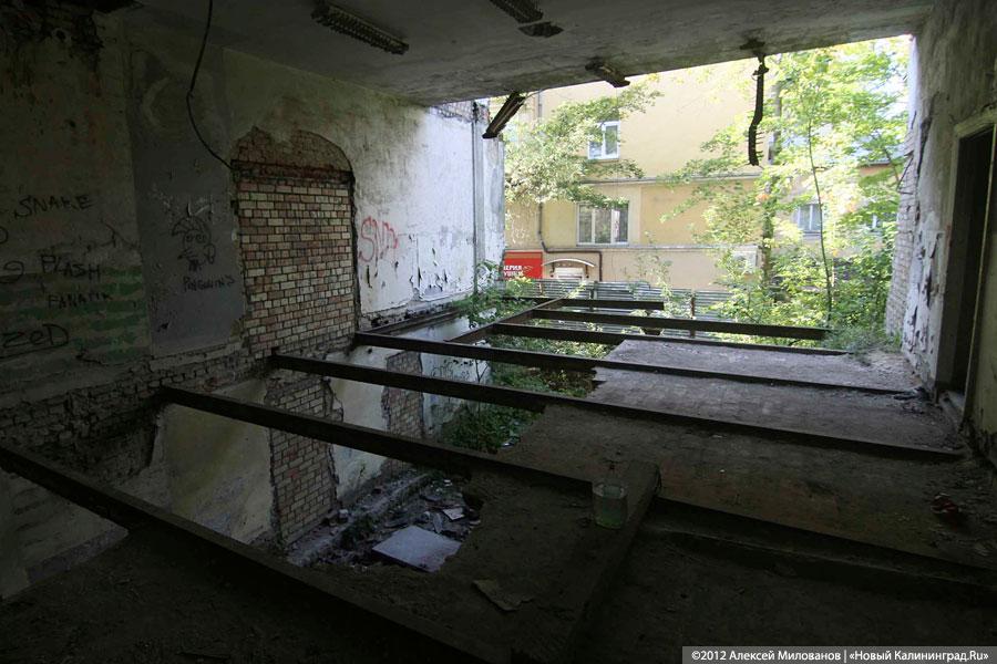 «Куда ушли детские сады»: фоторепортаж «Нового Калининграда.Ru»