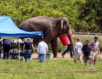 Записки одного арт-директора от 19 апреля