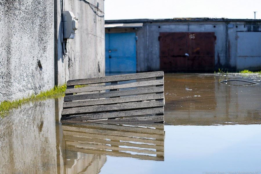 В Калининграде затопило гаражное общество на Острове около стадиона (фото)