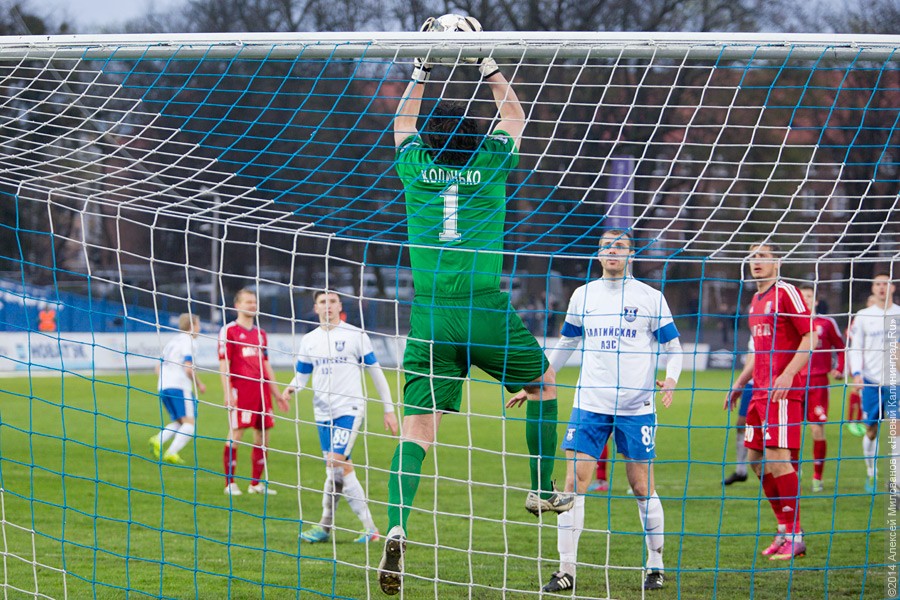 Путин подписал закон, ужесточающий наказание для футбольных хулиганов