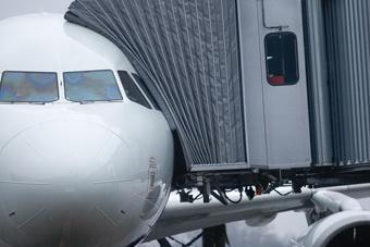 «Экстраординарных случаев нет»: почти все клиенты «Невы» вернулись в Калининград