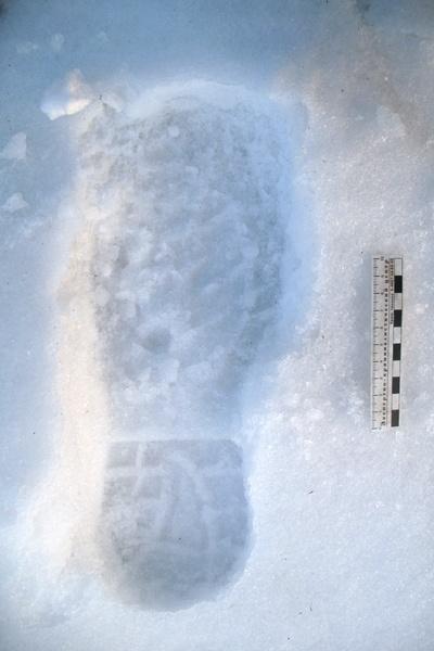 Двое мужчин пытались разобрать действующие рельсы на металлолом (фото)