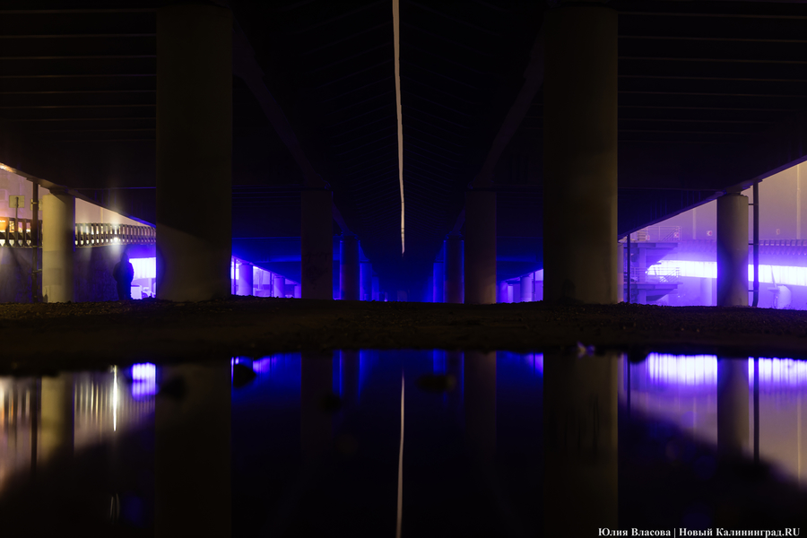 Между огнями и туманами: фотопрогулка по вечернему Калининграду