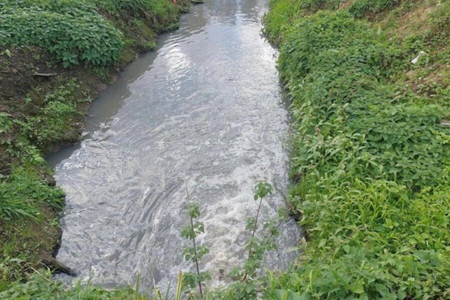 Загрязнением реки Гурьевки заинтересовалась природоохранная прокуратура
