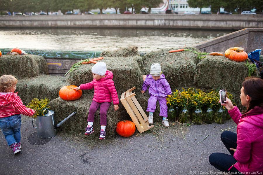 Кант был бы сыт: на острове стартовал «Street Food Weekend-2015»
