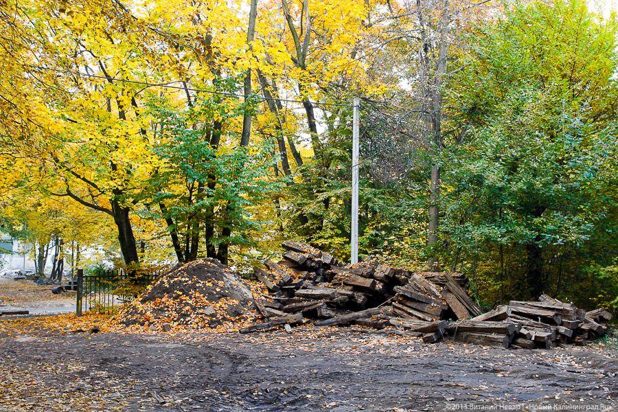Днём совсем не страшно: осенний Балтийский парк