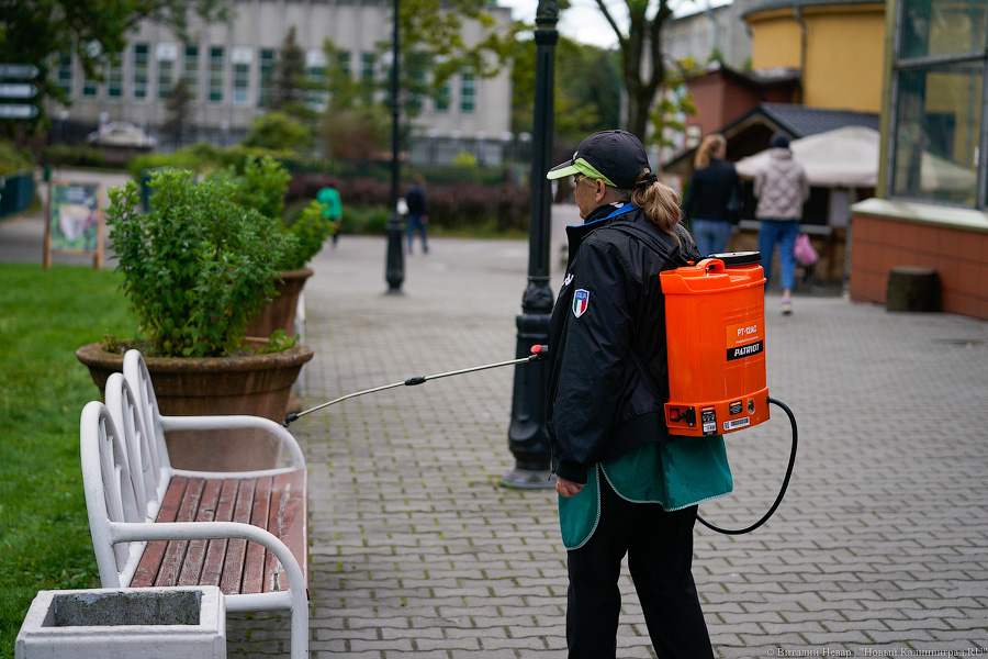 Вот компания какая: Калининградский зоопарк открыл все павильоны для посетителей