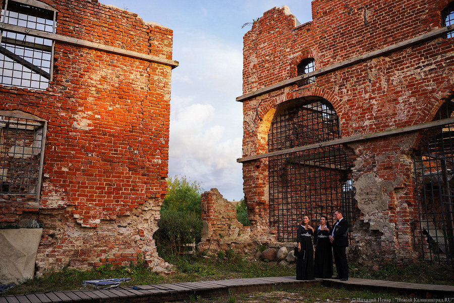 Виталий Невар / Новый Калининград