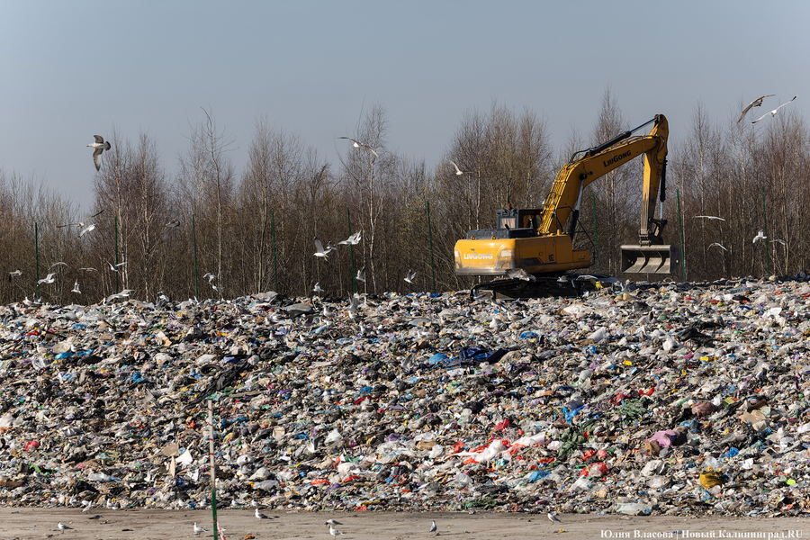 Директор ЕСОО: строить мусоросортировочный завод в Корнево будет область