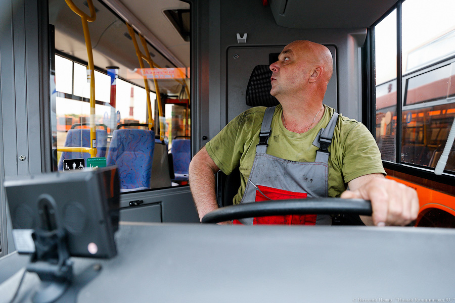 Оранжевое счастье: Калининграду передали 100 новых автобусов МАЗ (фото)