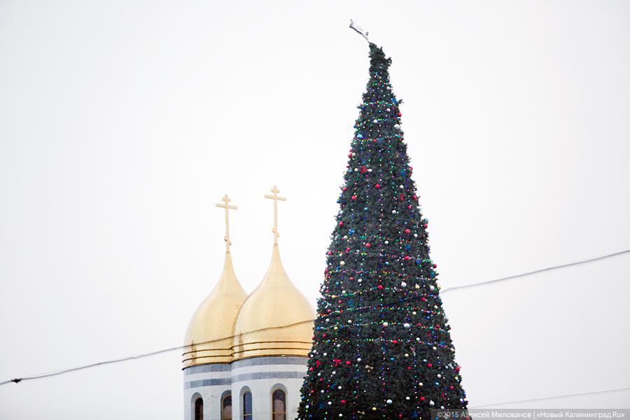 Летающий цирк: последствия урагана в Калининграде (фото)