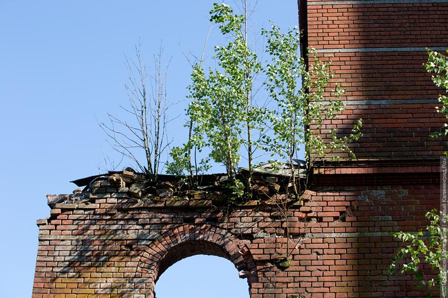 Пепел на руинах: что произошло с частично сгоревшей кирхой в Полесском районе