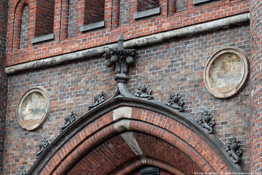 Фото: Юлия Власова / «Новый Калининград» 