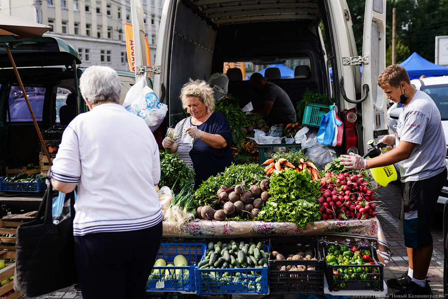 Базар-вокзал: как проходит сельхозярмарка на площади Победы в Калининграде