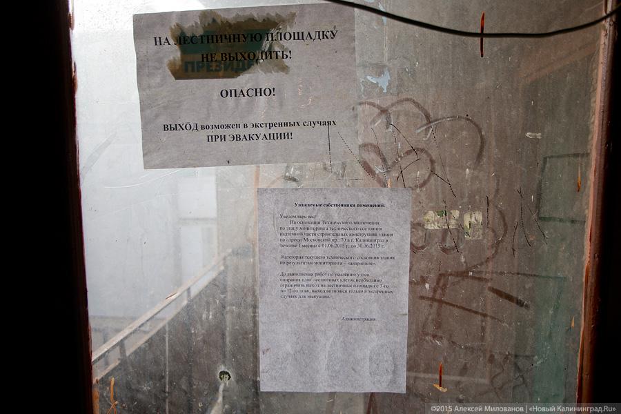 Фото — Алексей Милованов, «Новый Калининград.Ru»