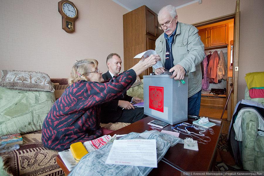 Спрос под стать предложению: как прошёл день голосования в Калининграде