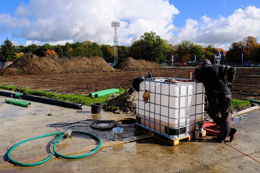 Огород вместо поля: что происходит со стадионом «Балтика» прямо сейчас (фото)