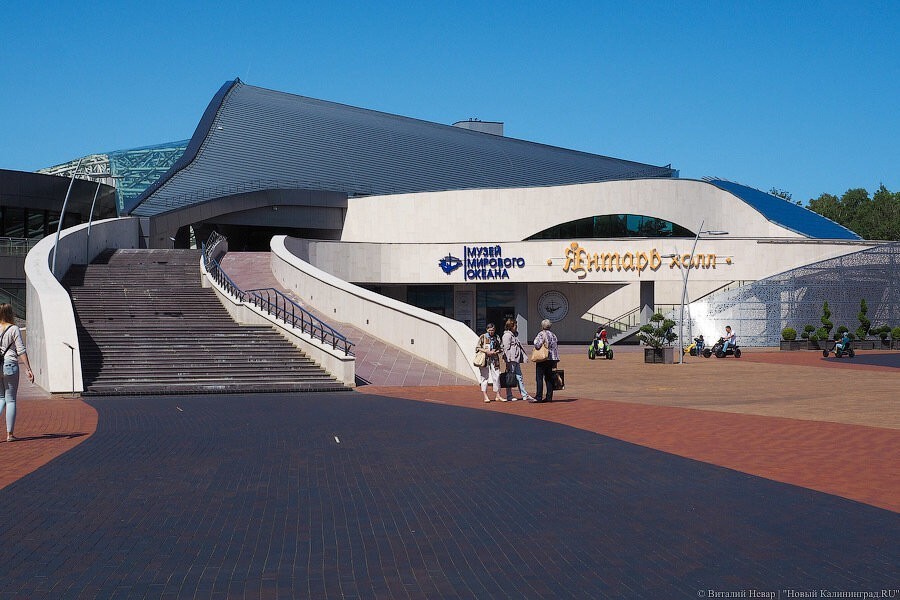 Фирма Ковальского получила 0,8 млн за прием гостей «КиВиНа» от имени губернатора