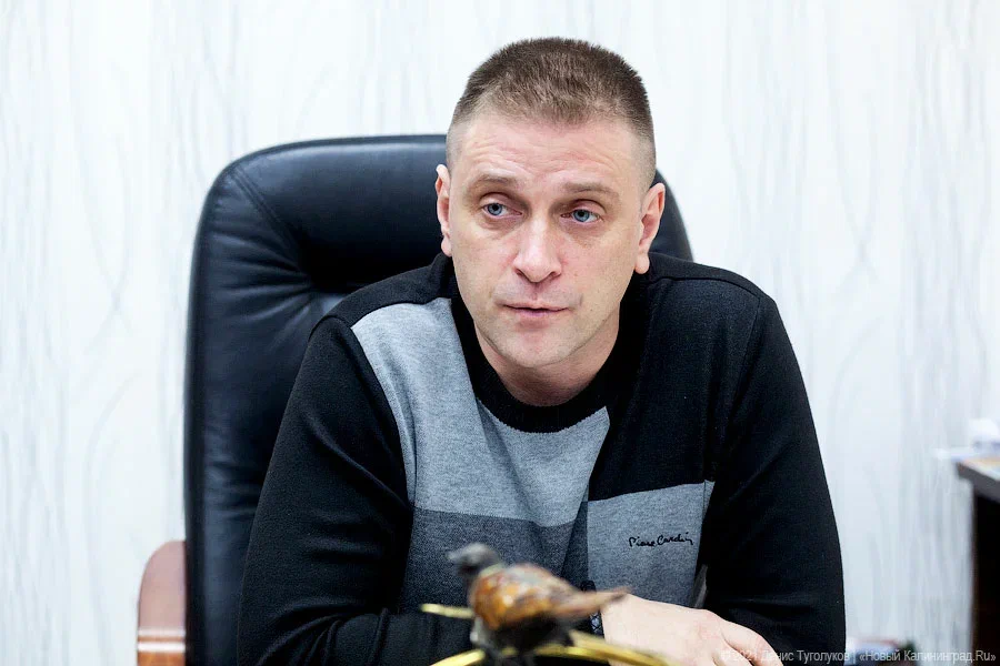 В отношении Калины возбуждено дело о незаконной вырубке лесных насаждений (видео)