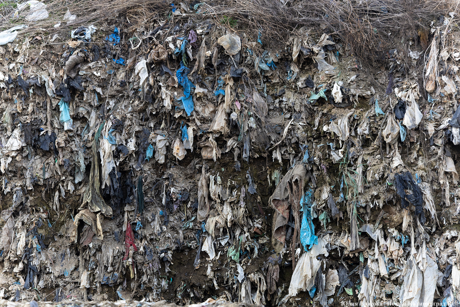 На разработку проекта рекультивации полигона в Круглово дали срок до осени 2028 года