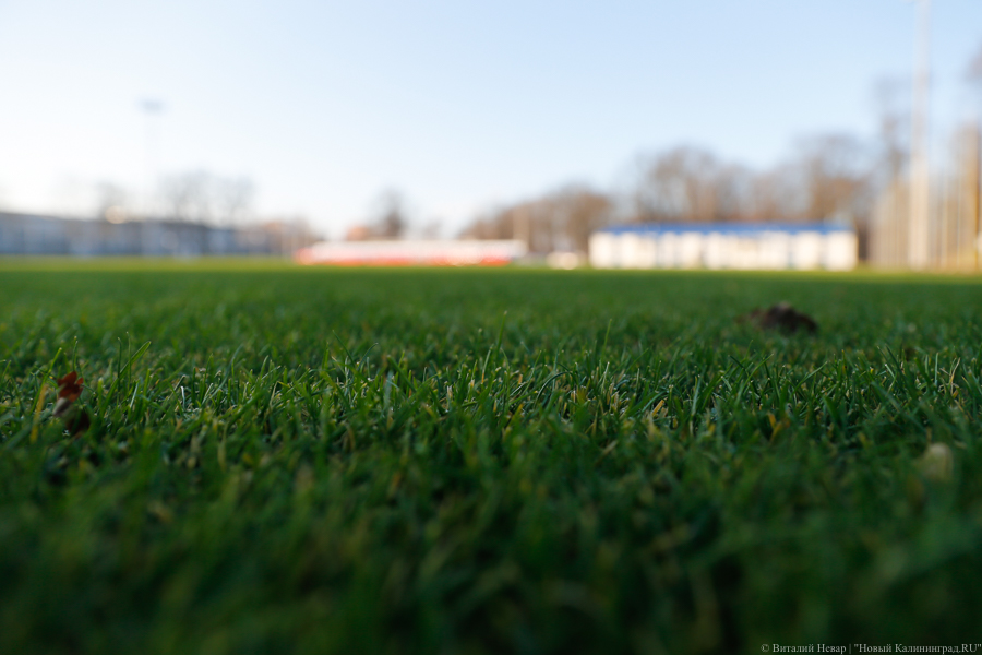 Виталий Невар / Новый Калининград