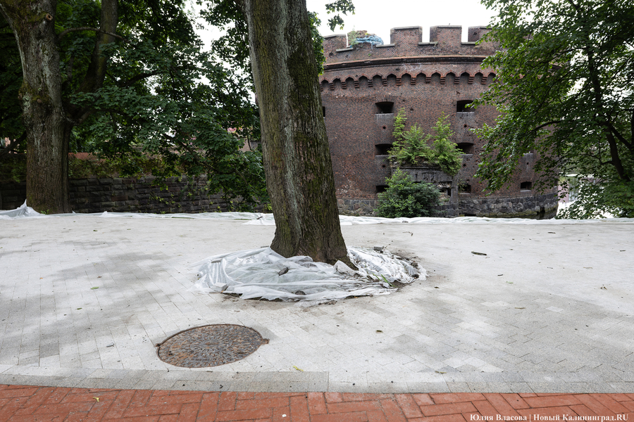 Почти готов, но дата открытия под вопросом: как сейчас выглядит Каштановый парк (фото)