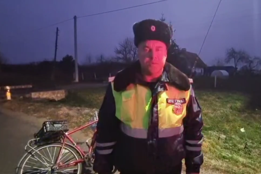 Полиция задержала водителя, скрывшегося с места смертельного ДТП