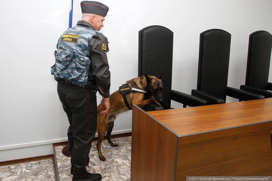 «Лечь, суд идет!»: фоторепортаж «Нового Калининграда.Ru»
