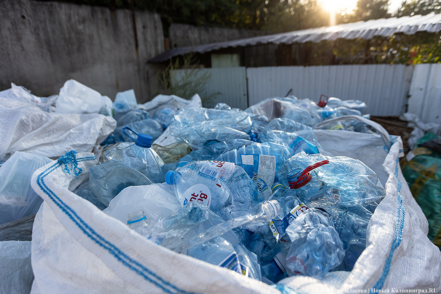 Приостановка эксперимента с «желтыми сетками» снизила сбор ПЭТ-бутылок в 8 раз