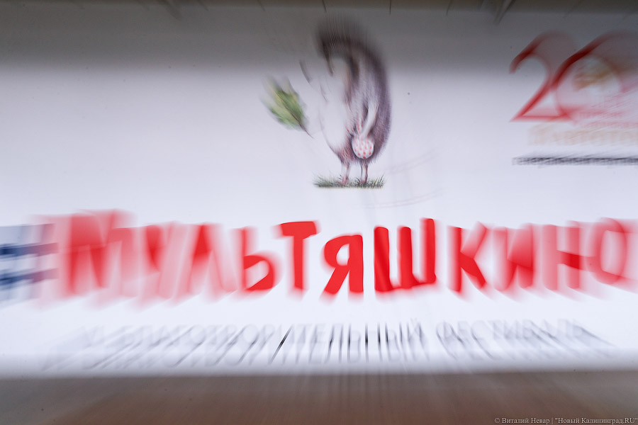 Обитаемый остров: как посетители разгоняли тучи над фестивалем «Мультяшкино»