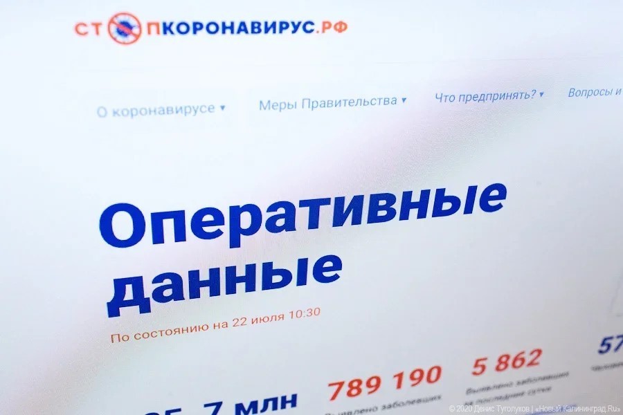 «Мы просто „захлебнемся“»: РФ открыла границу с Абхазией, местный минздрав возмутился