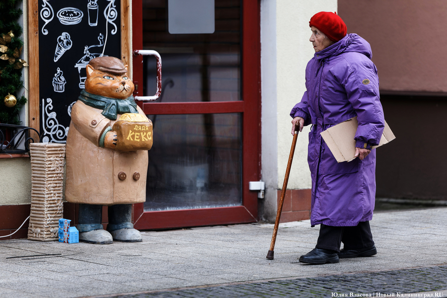 В России назвали средний размер пенсии неработающих пенсионеров 