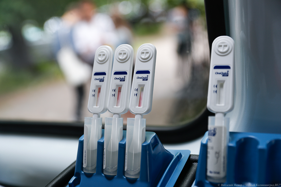 Число случаев ВИЧ-инфекции в Калининградской области за год выросло на 10%