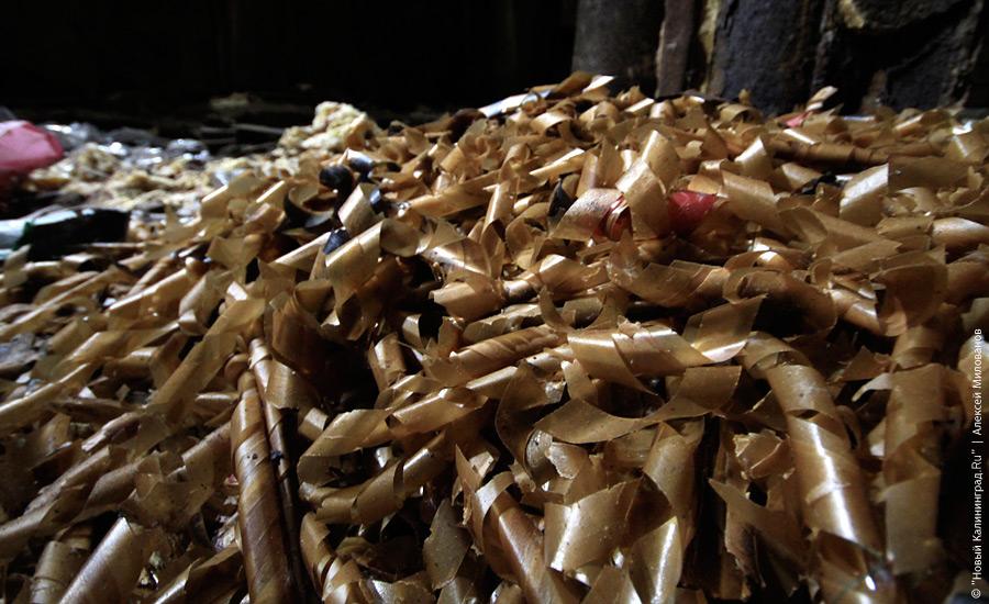 "Пустые дома: ЦБЗ-1": фотопроект "Нового Калининграда.Ru"