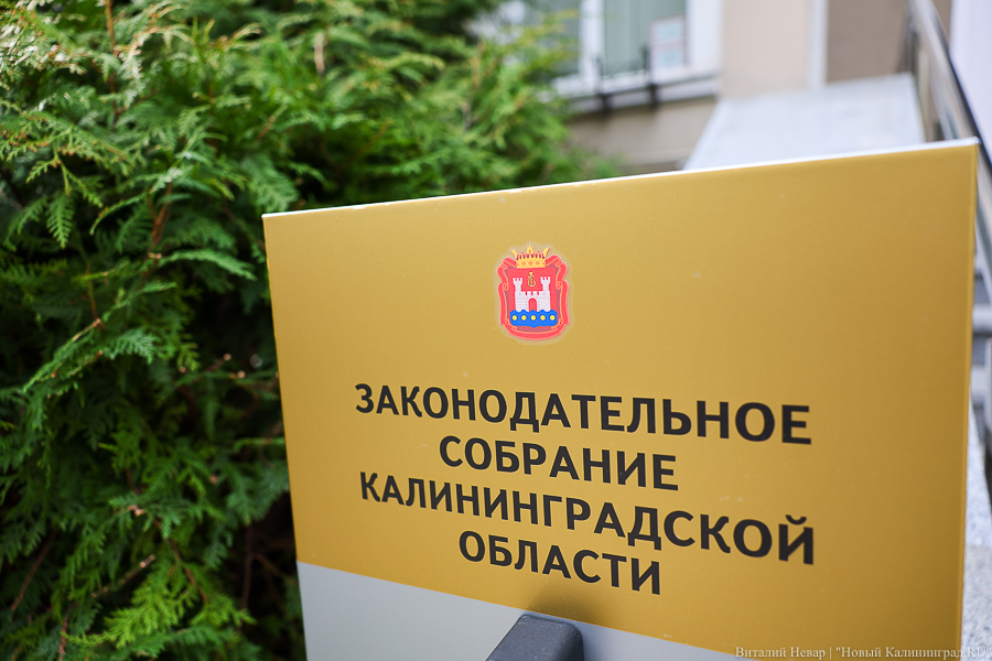 Калининградские депутаты поддержали закон о публикации обезличенных деклараций