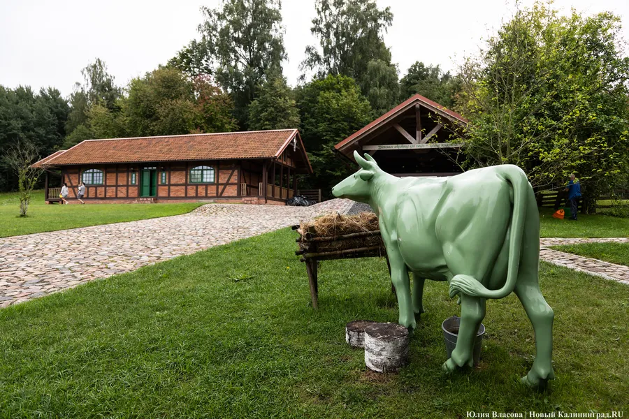 На программу «Восток» в 2025 году выделили более 400 млн рублей