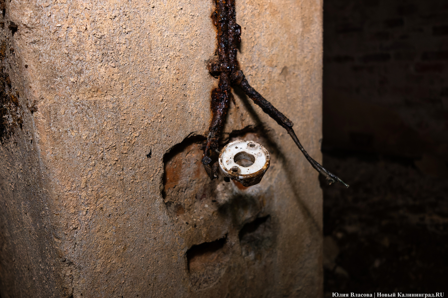 Настоящие подземелья Кёнигсберга: что находится в открывшемся провале на острове Канта (фото)