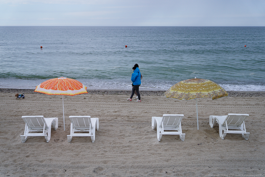 Фото: Виталий Невар / Новый Калининград