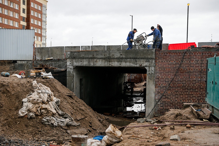 «Хэппибёздей» на органе: как Ярошук мосты на Острове открывал